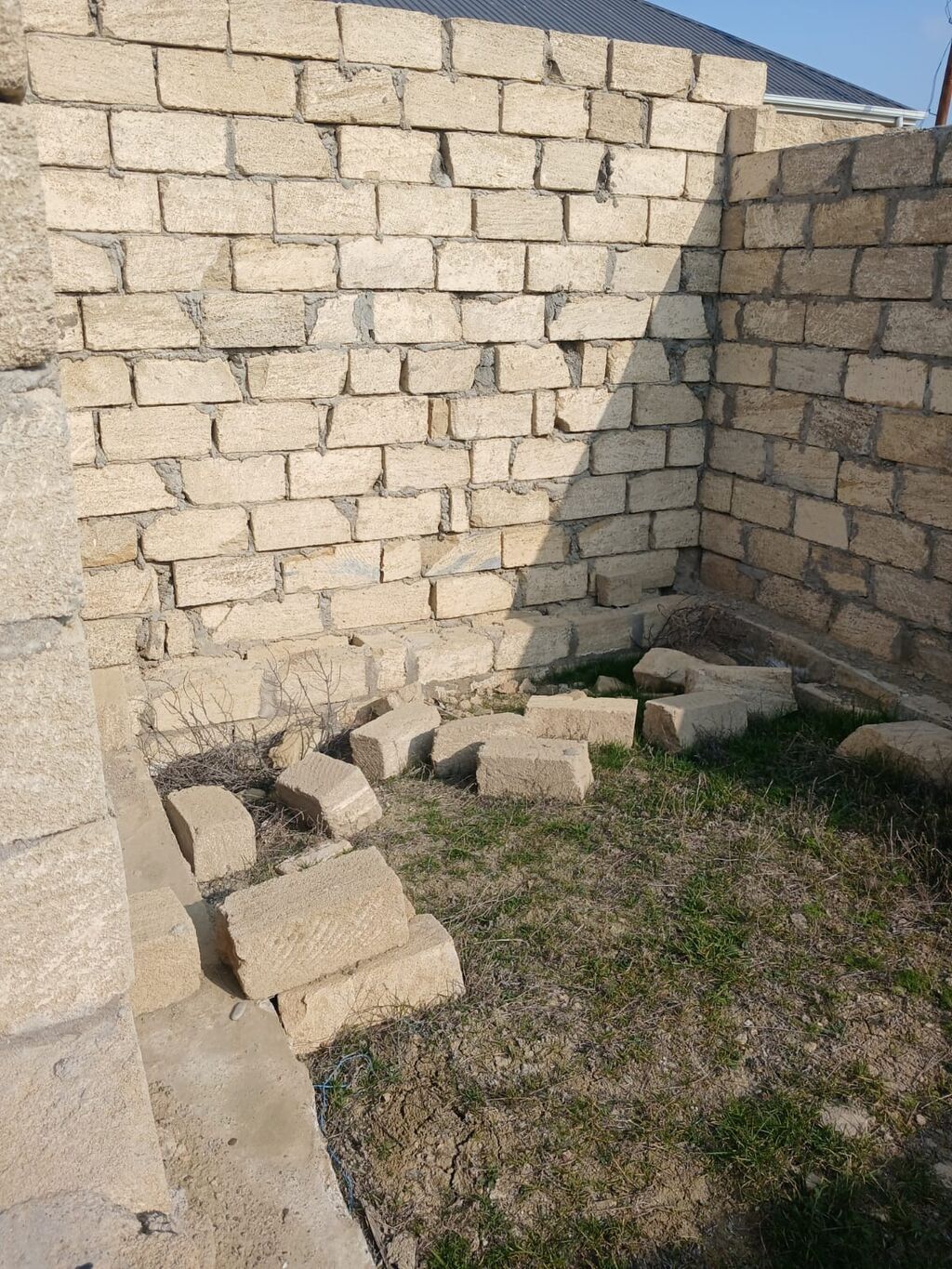 Tikinti
