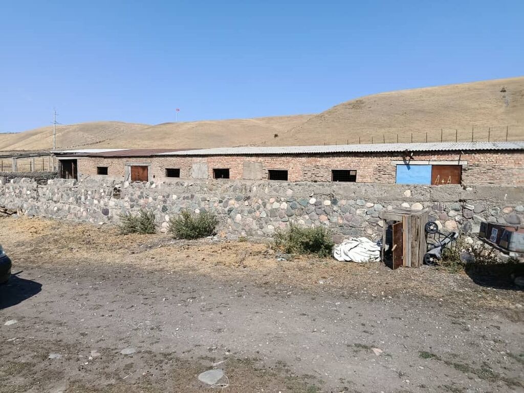 Farm КРС, 1 соток, Действующий, Без оборудования, Электричество