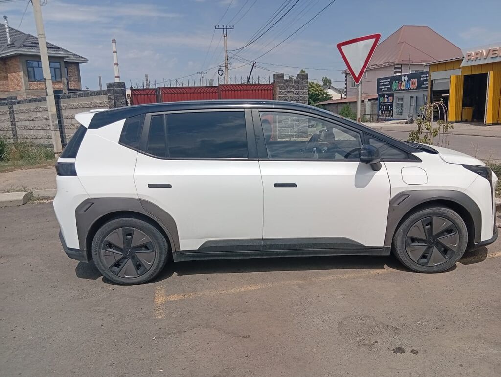Электромобиль Aion Y (GAC Aion) - Кузов: компактный кроссовер/MPV, 5: фото 2