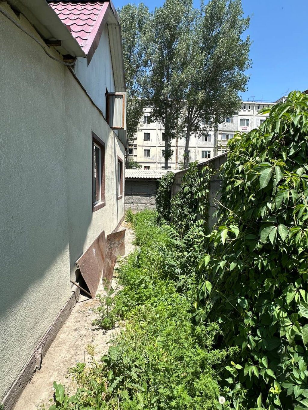 4 соток, Красная книга, Тех паспорт, Договор купли-продажи: фото 3