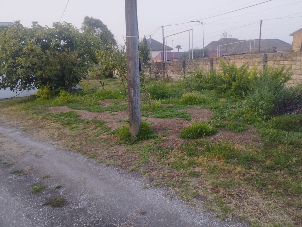 3 sot, Tikinti, Kupça (Çıxarış)