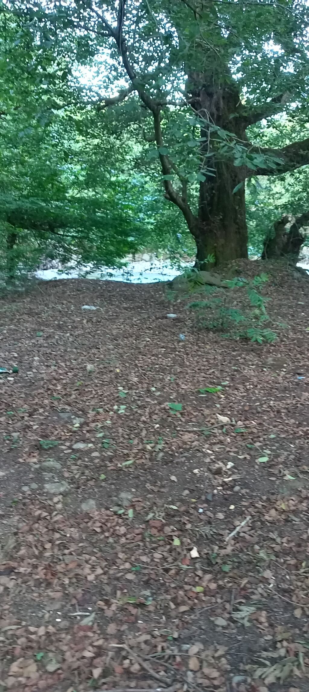 3 otaqlı, 100 kv. m, Orta təmir