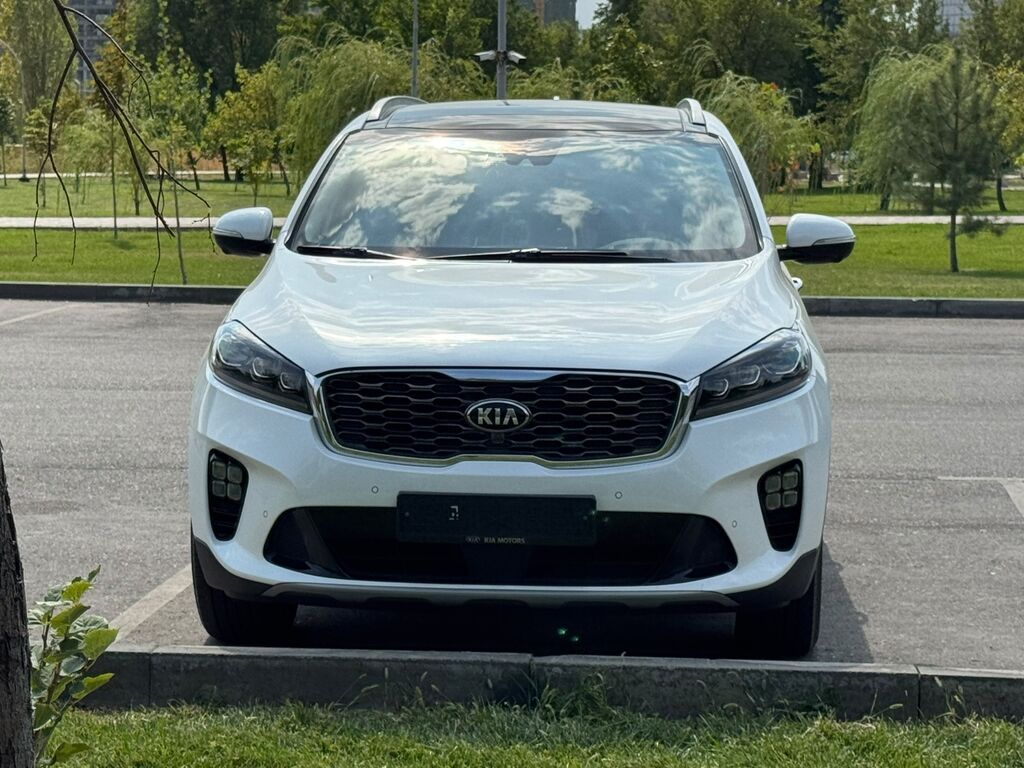 Kia Sorento: 2019 г., 2 л, Автомат, Бензин, Внедорожник: фото 6