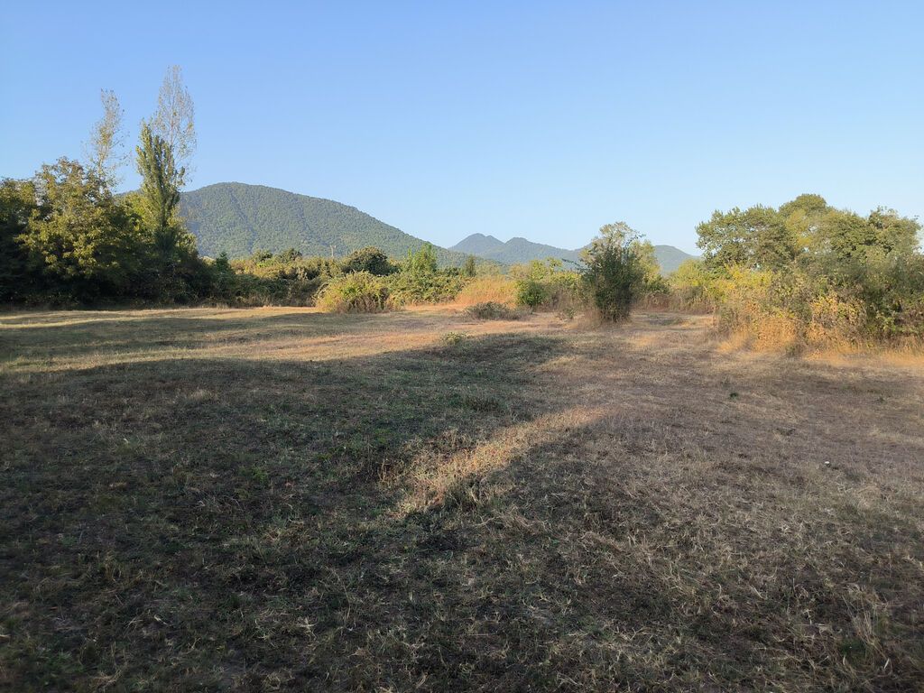 21 sot, Tikinti, Mülkiyyətçi, Kupça (Çıxarış)