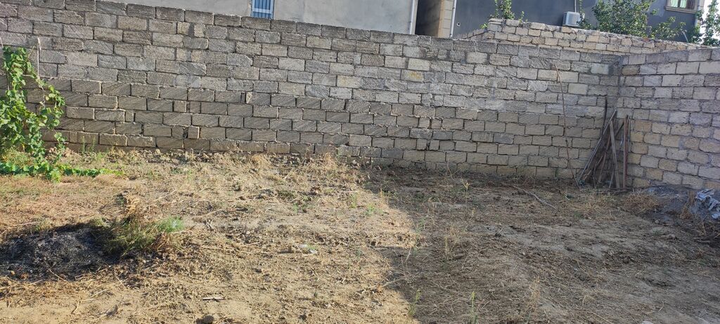 2 sot, Tikinti, Mülkiyyətçi, Kupça (Çıxarış)