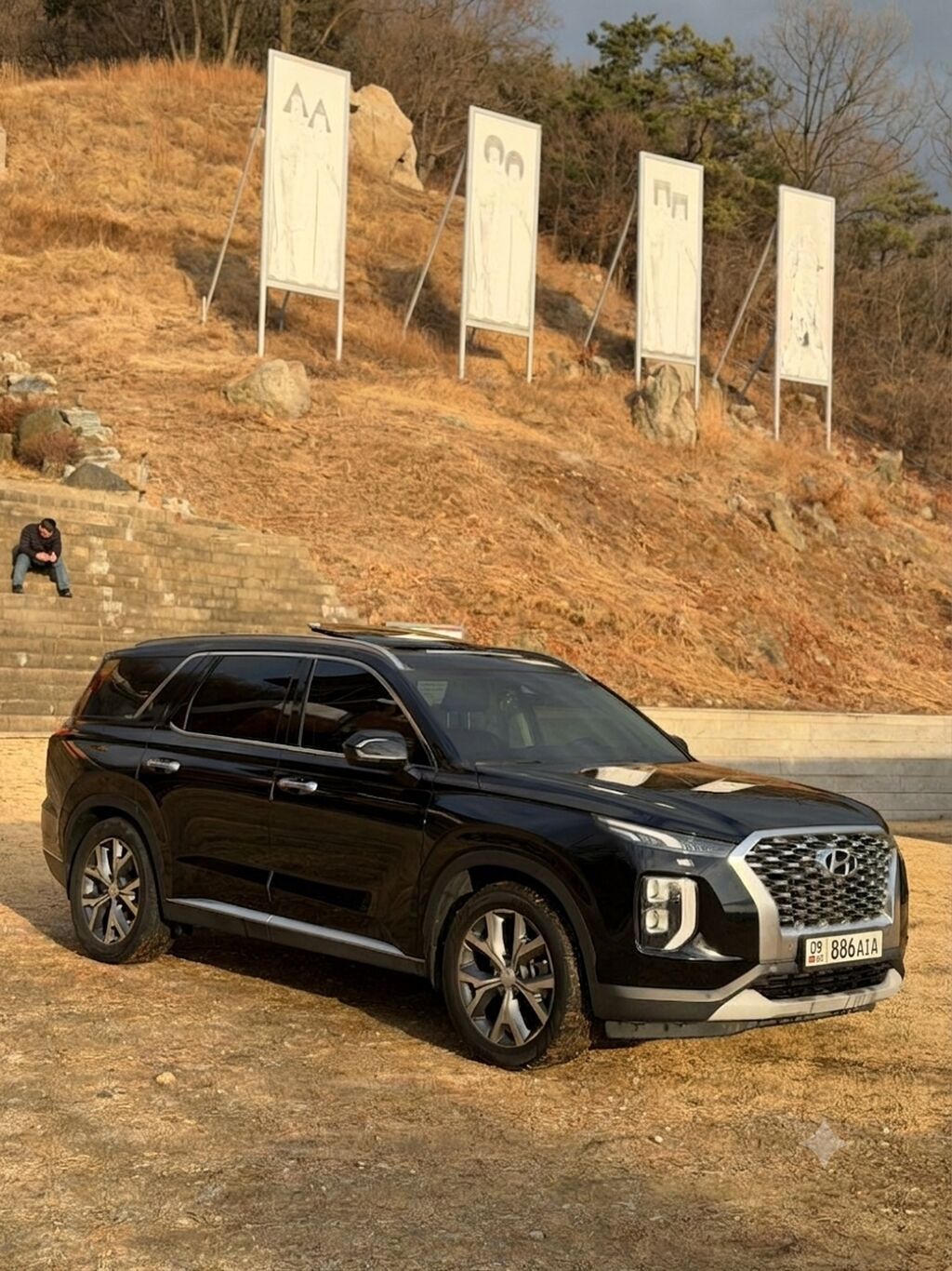 Hyundai Palisade: 2020 г., 2.2 л, Автомат, Дизель, Кроссовер: фото 3