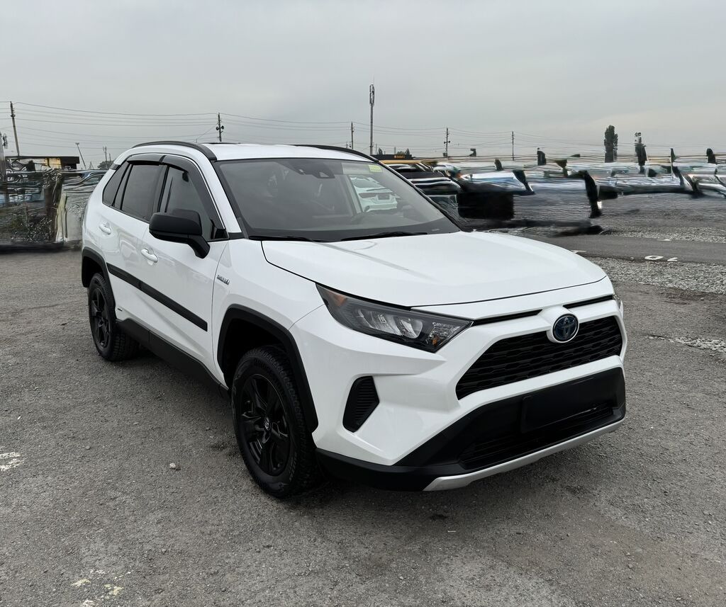 Toyota RAV4: 2019 г., 2.5 л, Гибрид: фото 1