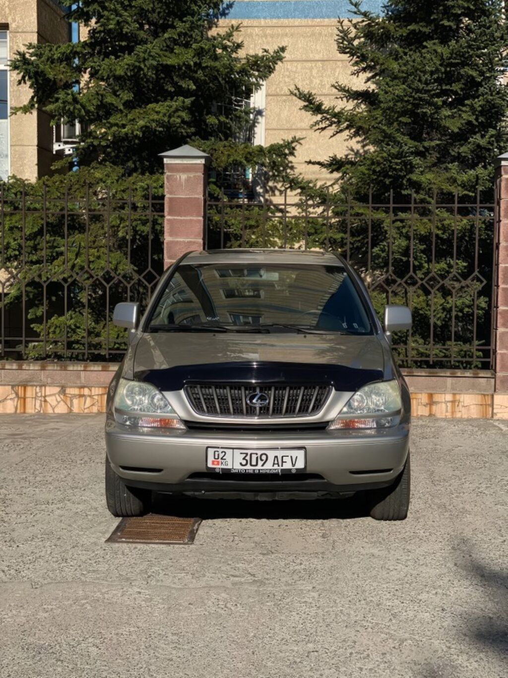 Lexus RX: 1999 г., 3 л, Автомат, Бензин, Кроссовер: фото 1