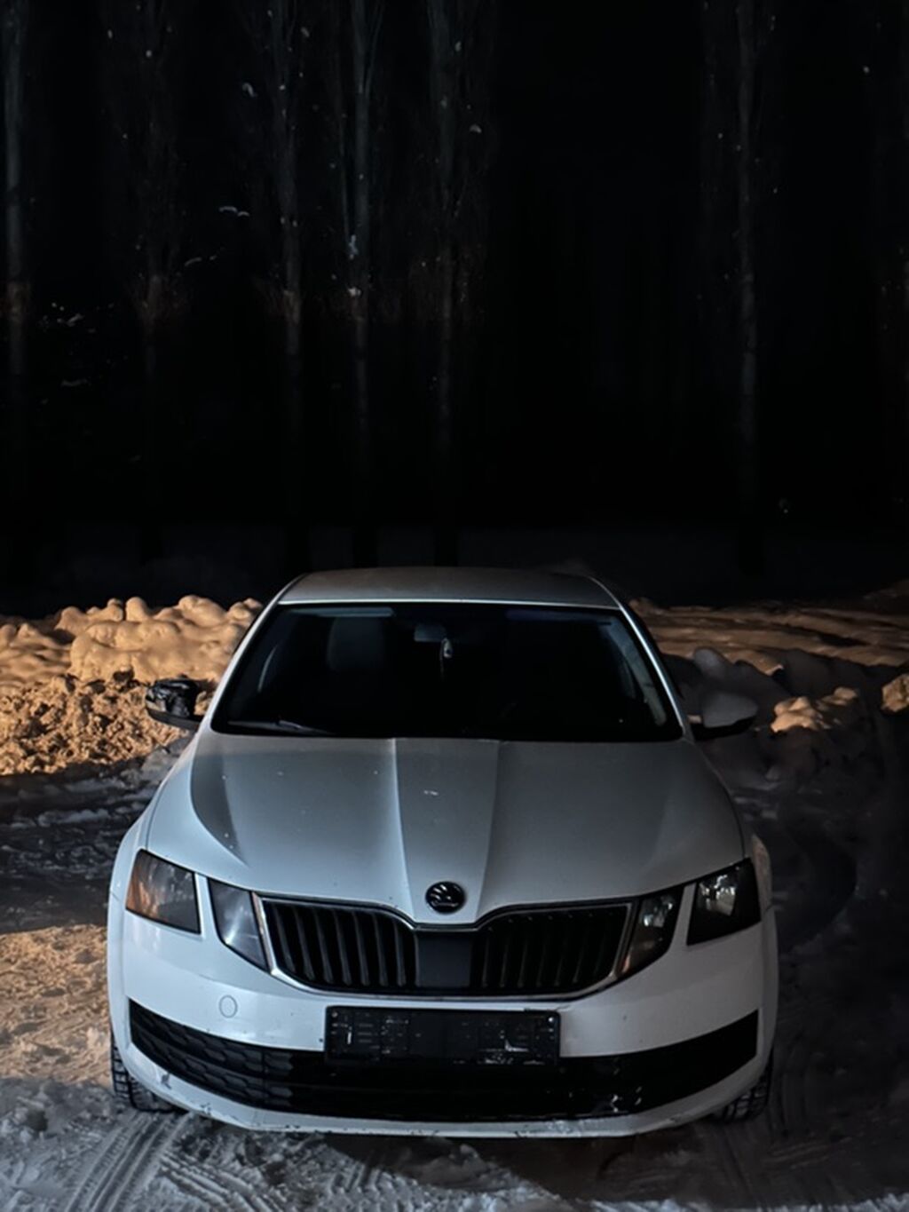 Skoda Octavia: 2018 г., 1.6 л, Автомат, Бензин, Седан: фото 1