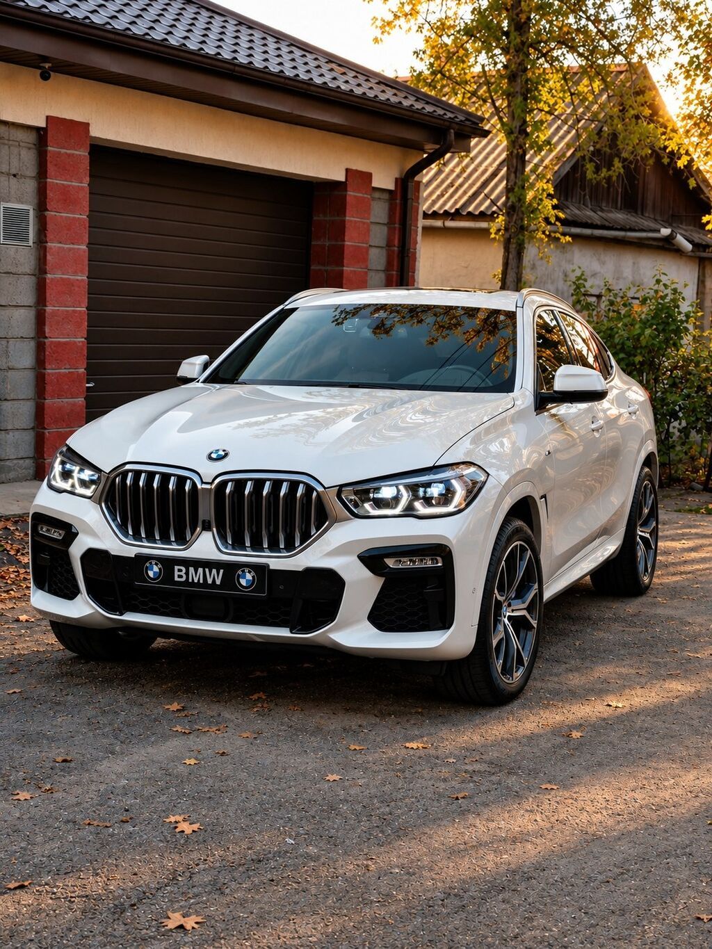 BMW X6: 2021 г., 3 л, Автомат, Бензин, Внедорожник: фото 1
