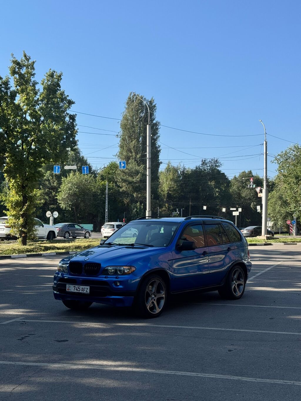 BMW X5: 2003 г., 4.6 л, Автомат, Бензин, Внедорожник: фото 2