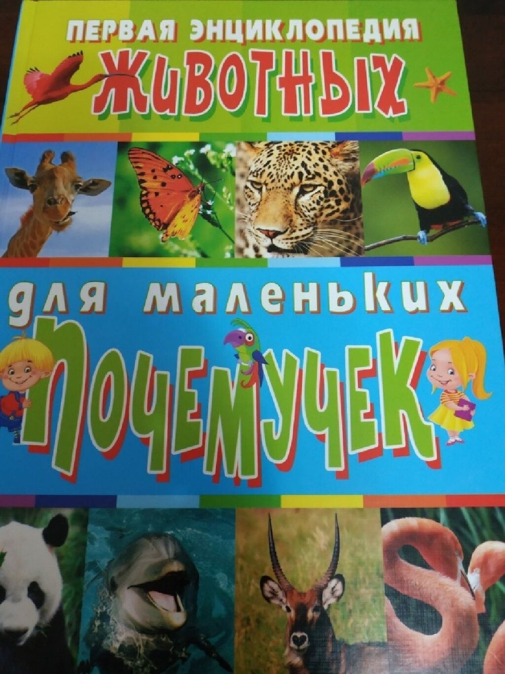 Детская энциклопедия животных. Новая. 416 страниц.: 1300 KGS ➤ Книги,  журналы, CD, DVD | Бишкек | 102855260 ᐈ lalafo.kg