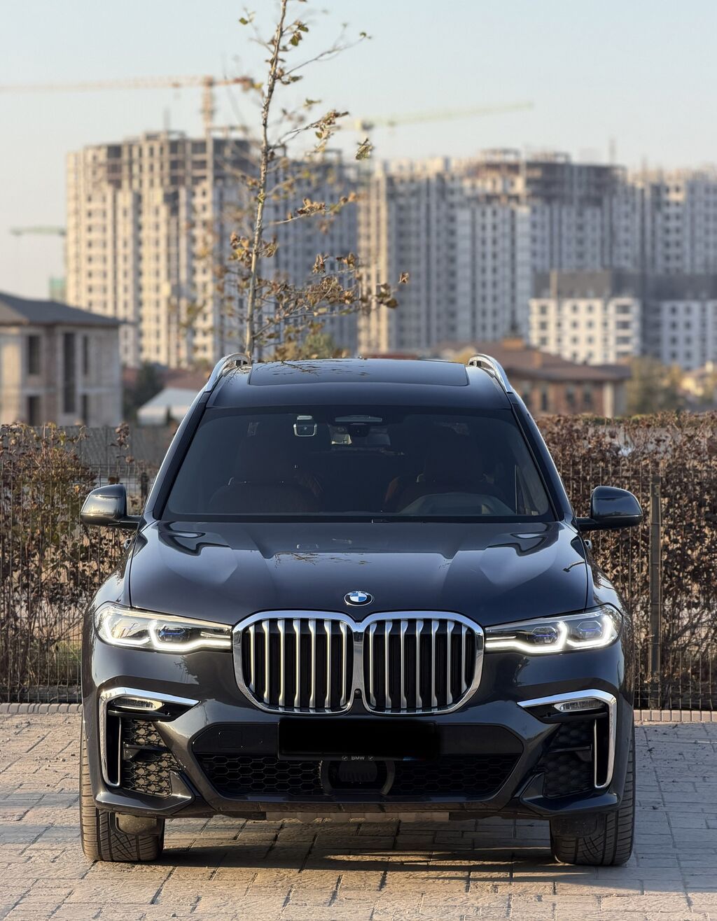 BMW X7: 2021 г., 3 л, Автомат, Бензин, Внедорожник: фото 3