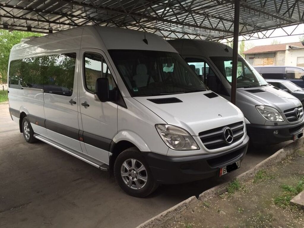 Sprinter 2010