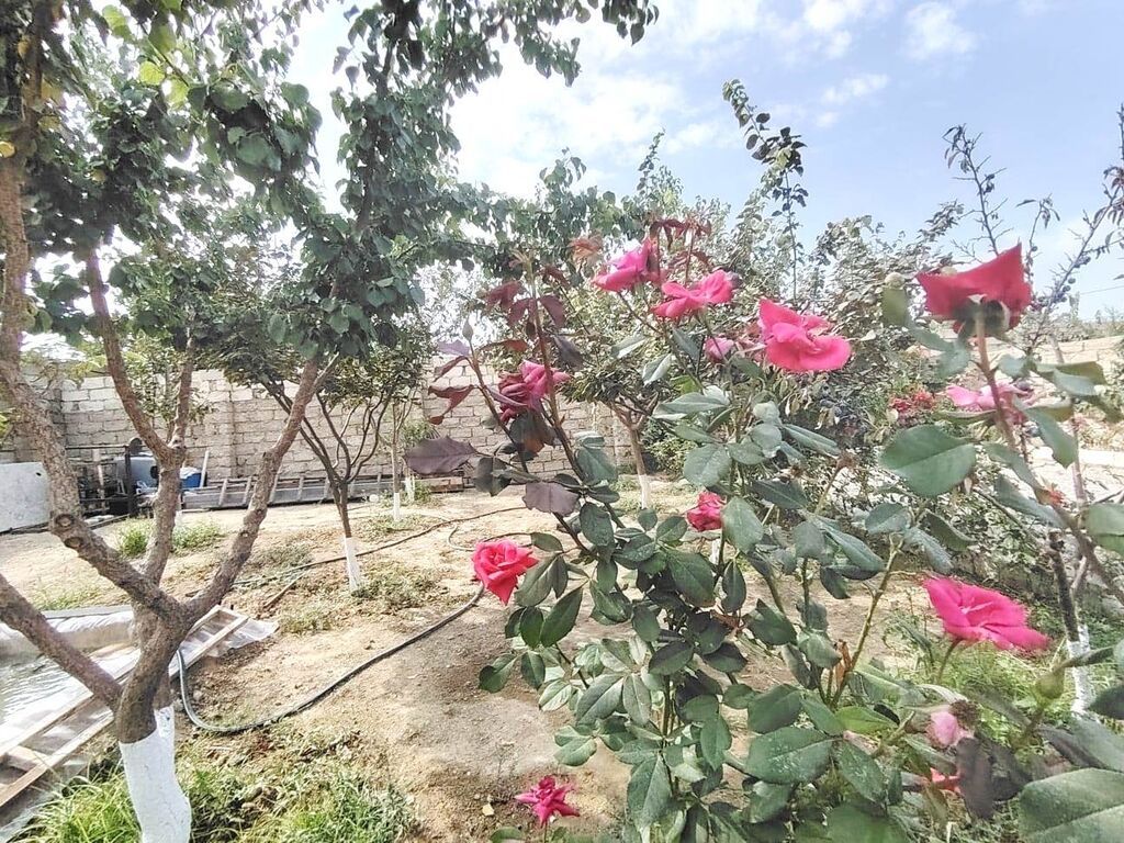 2 otaqlı, 82 kv. m, Yeni təmirli
