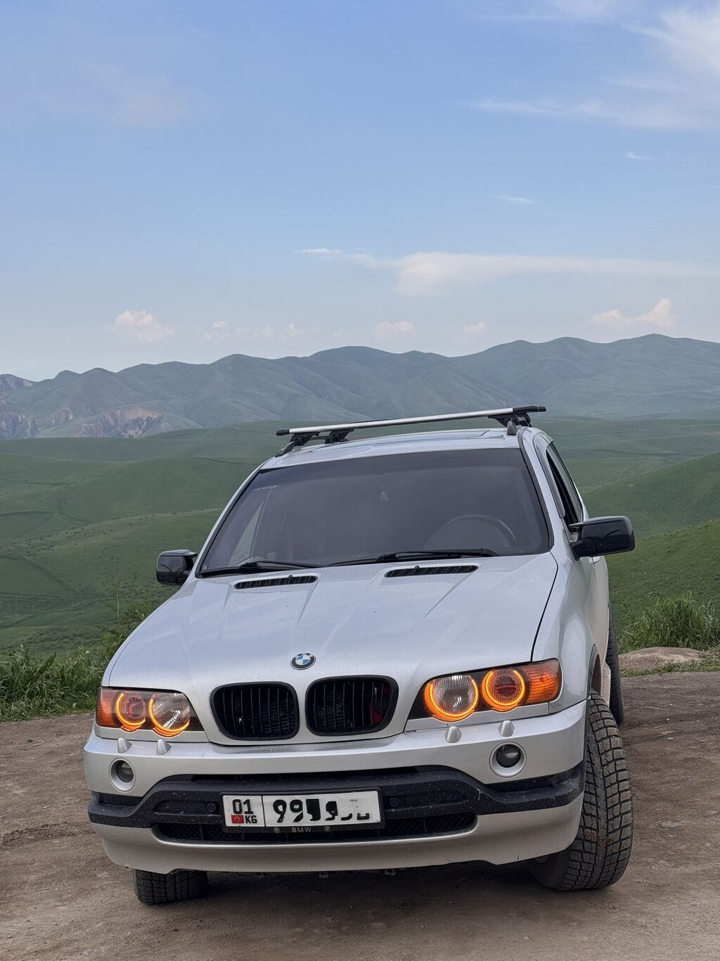 BMW X5: 2002 г., 4.4 л, Автомат, Бензин, Кроссовер: фото 7
