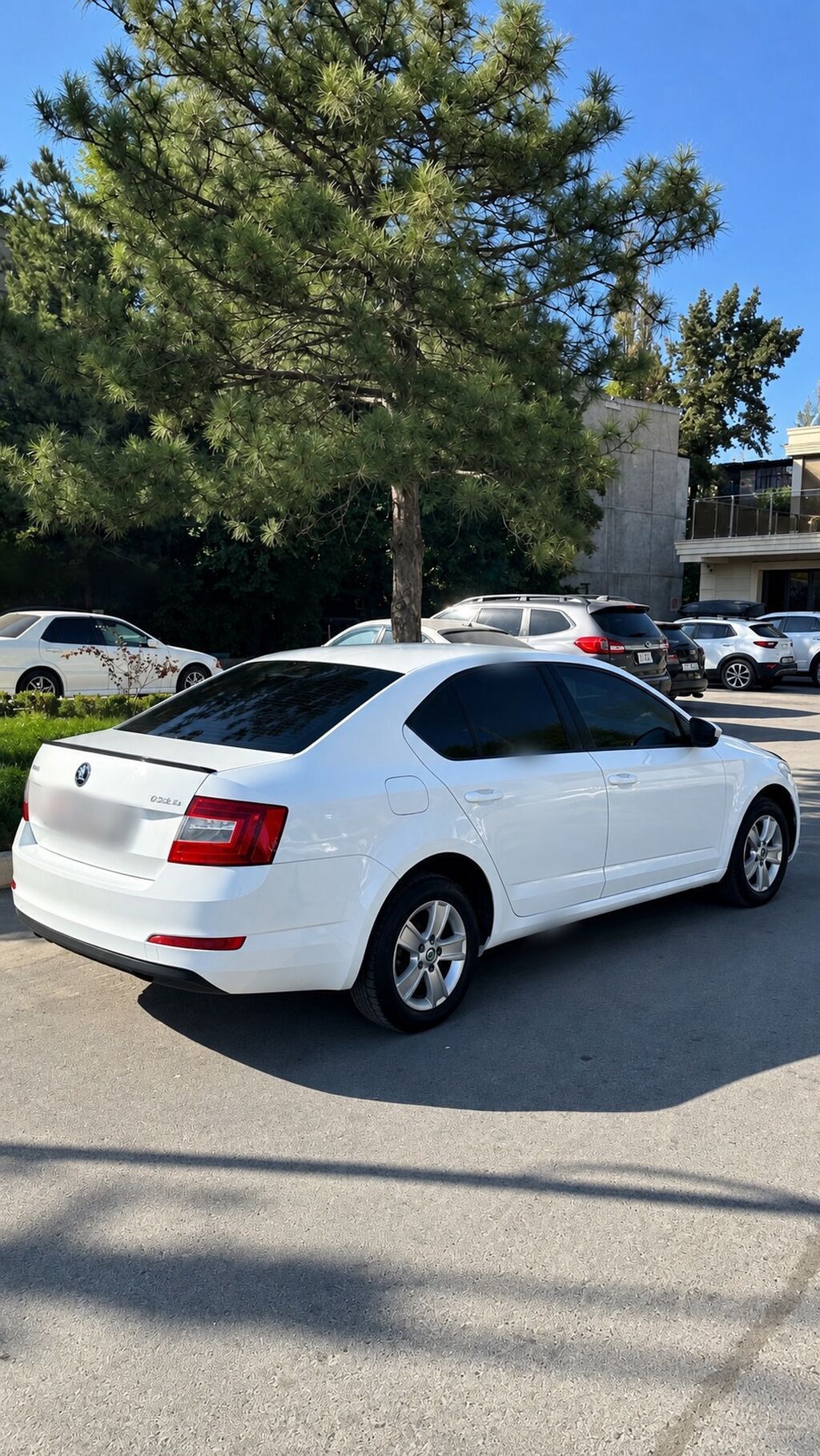 Skoda Octavia: 2016 г., 1.6 л, Автомат, Бензин, Седан: фото 4
