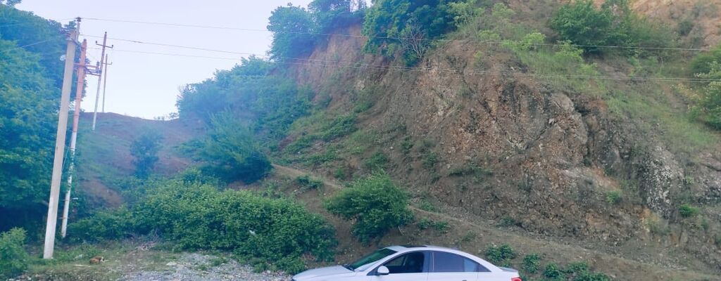 25 sot, Tikinti, Mülkiyyətçi, Kupça (Çıxarış)