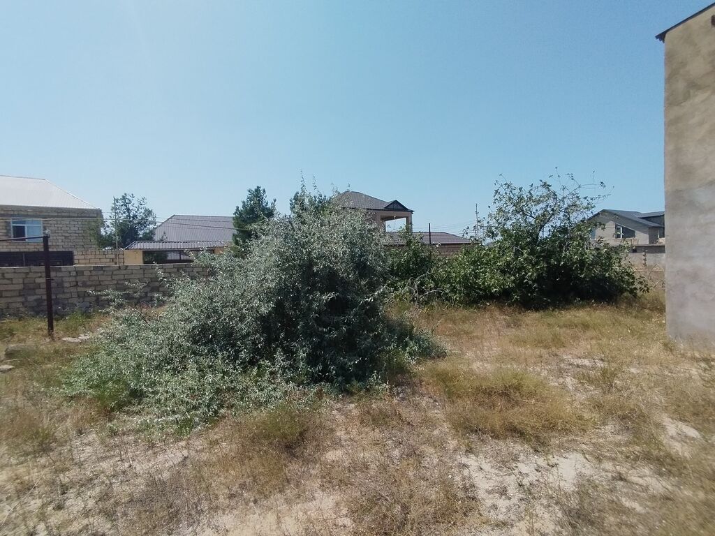 20 sot, Tikinti, Makler, Kupça (Çıxarış)