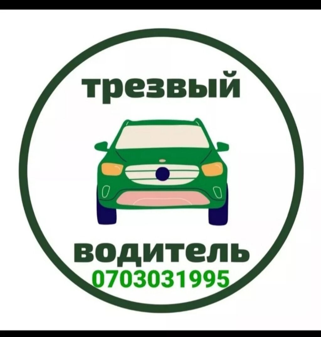 Прикурить авто бустером 12/24Вольт Доставка бензин дизель Прикурить: фото 4
