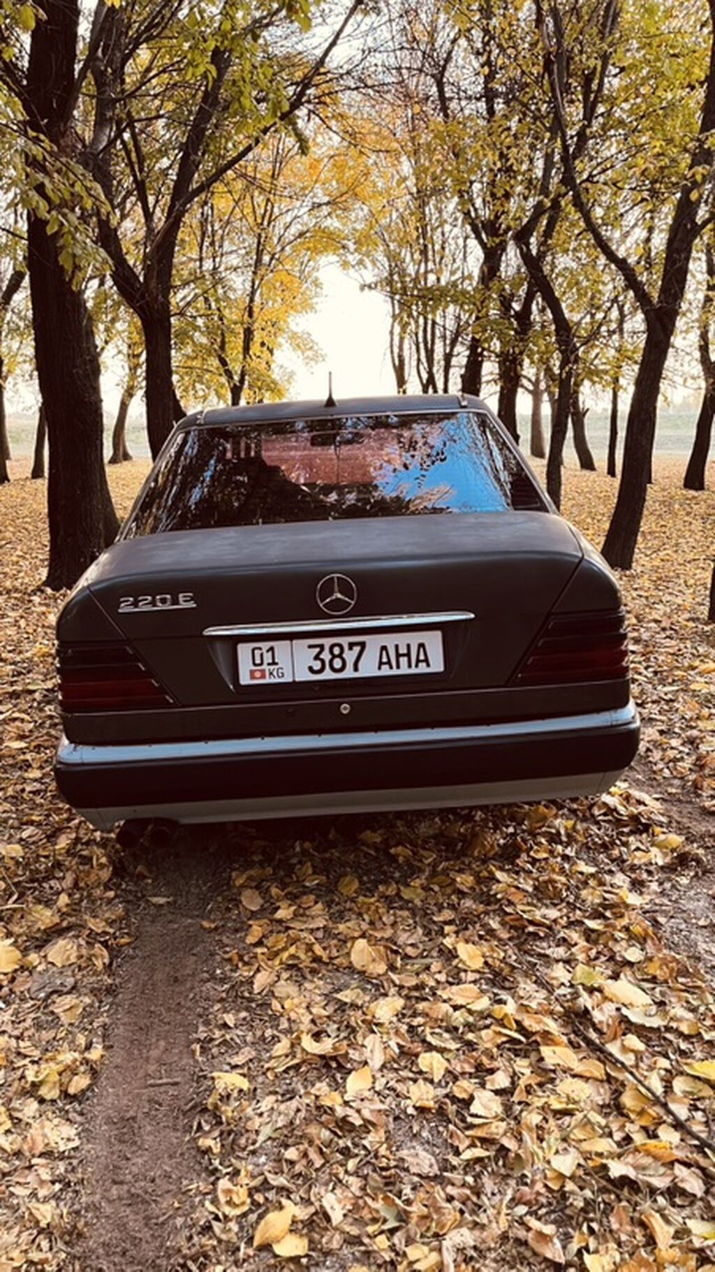 Mercedes-Benz W124: 1994 г., 2 л, Механика, Бензин, Седан: фото 5