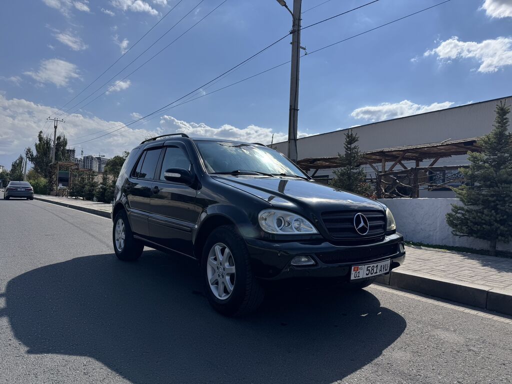 Mercedes-Benz M-Class: 2004 г., 3.7 л, Автомат, Газ, Внедорожник: фото 3