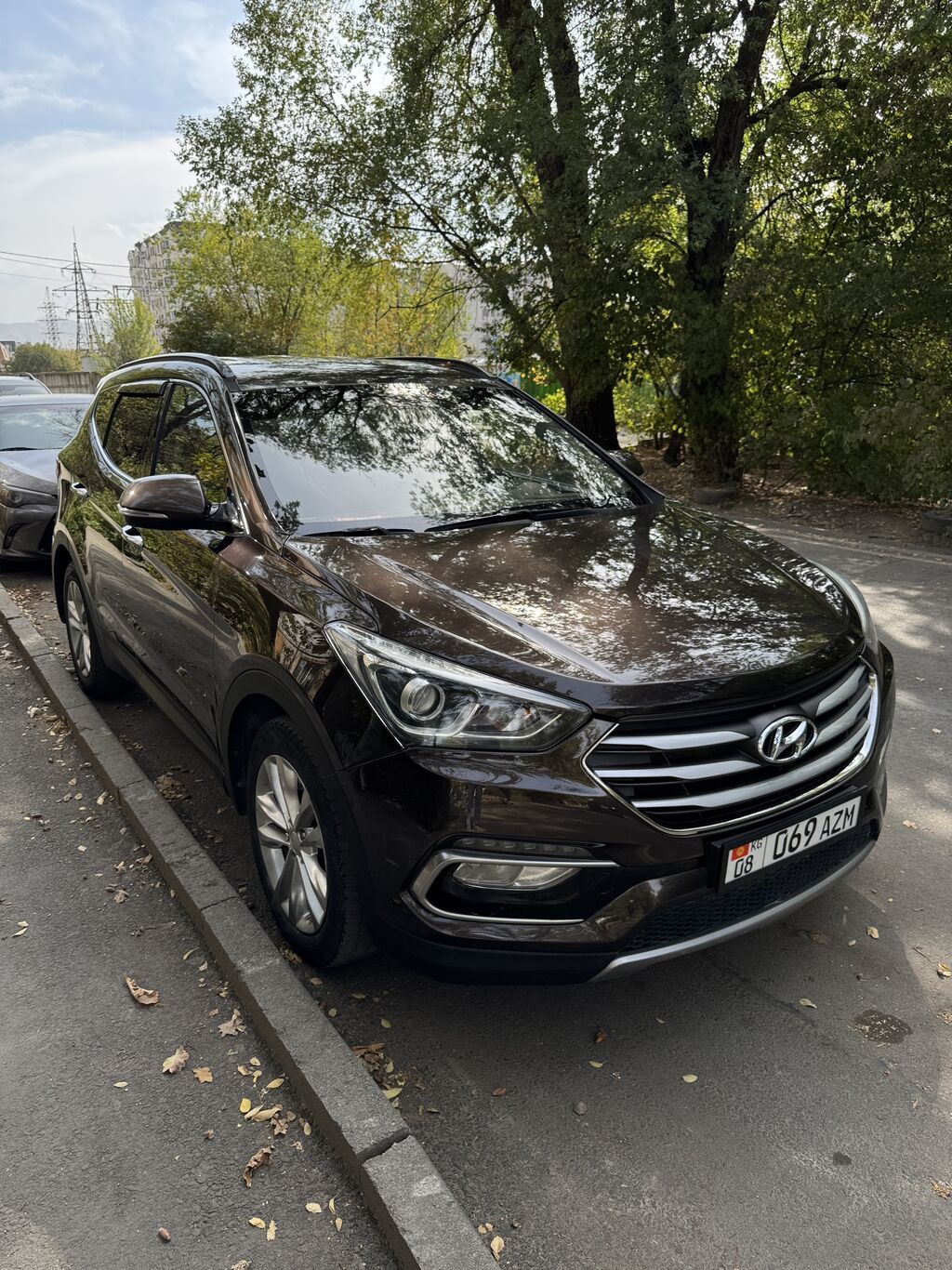 Hyundai Santa Fe: 2016 г., 2 л, Автомат, Дизель, Кроссовер: фото 3