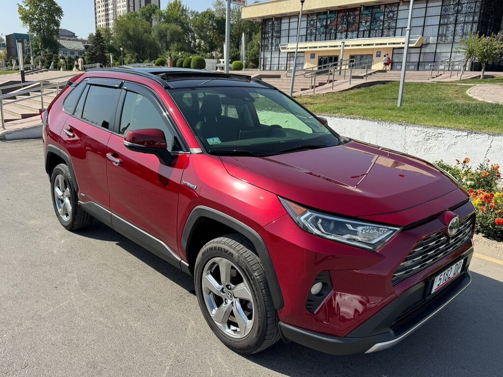 Toyota RAV4: 2020 г., Гибрид, Кроссовер: фото 3