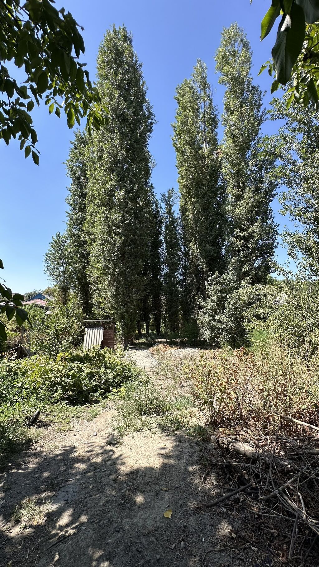 Продаётся частный дом В районе Жибек Жолу/ Аламединский РОВД 65: фото 4