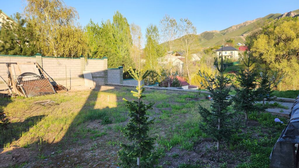 4 соток, Для строительства, Договор купли-продажи, Красная книга: фото 5