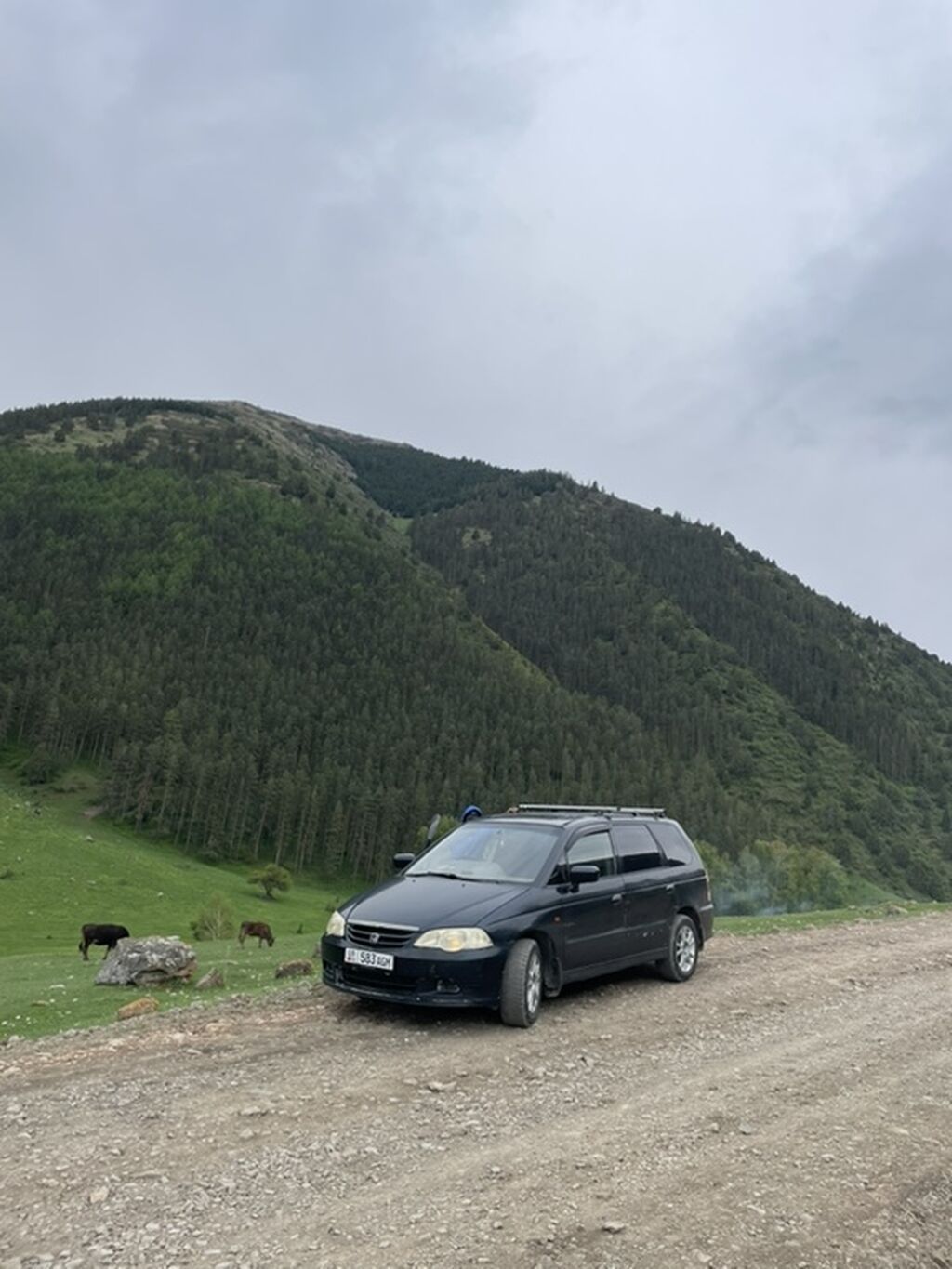 Honda Odyssey: 2000 г., 2.3 л, Автомат, Газ, Универсал: фото 2