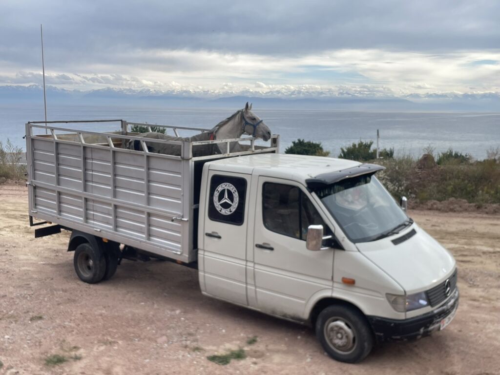 Mercedes-Benz Спринтер: 2001 г., 2.2 л, Механика, Дизель, Фургон: фото 7