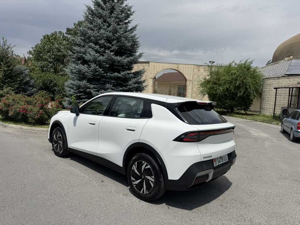 Changan Qiyuan Q05: 2026 г., 0.1 л, Автомат, Электромобиль, Кроссовер — фото 4
