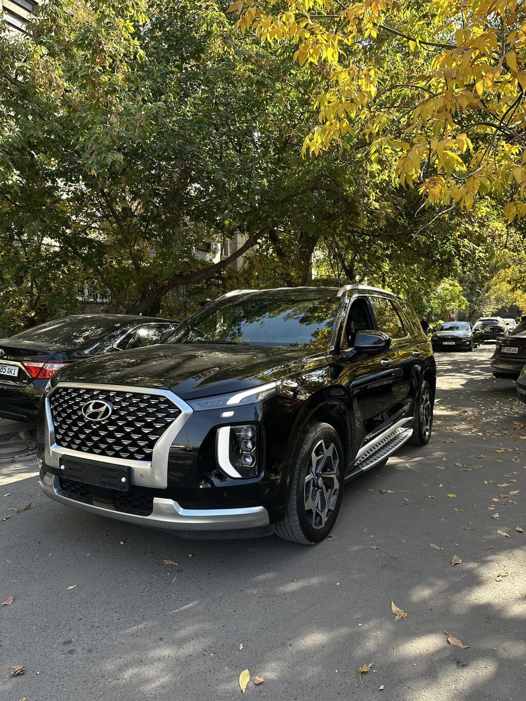 Hyundai Palisade: 2021 г., 2.2 л, Автомат, Дизель, Кроссовер: фото 1