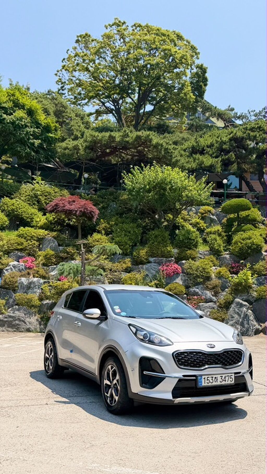 Kia Sportage: 2020 г., Бензин, Кроссовер — фото 6