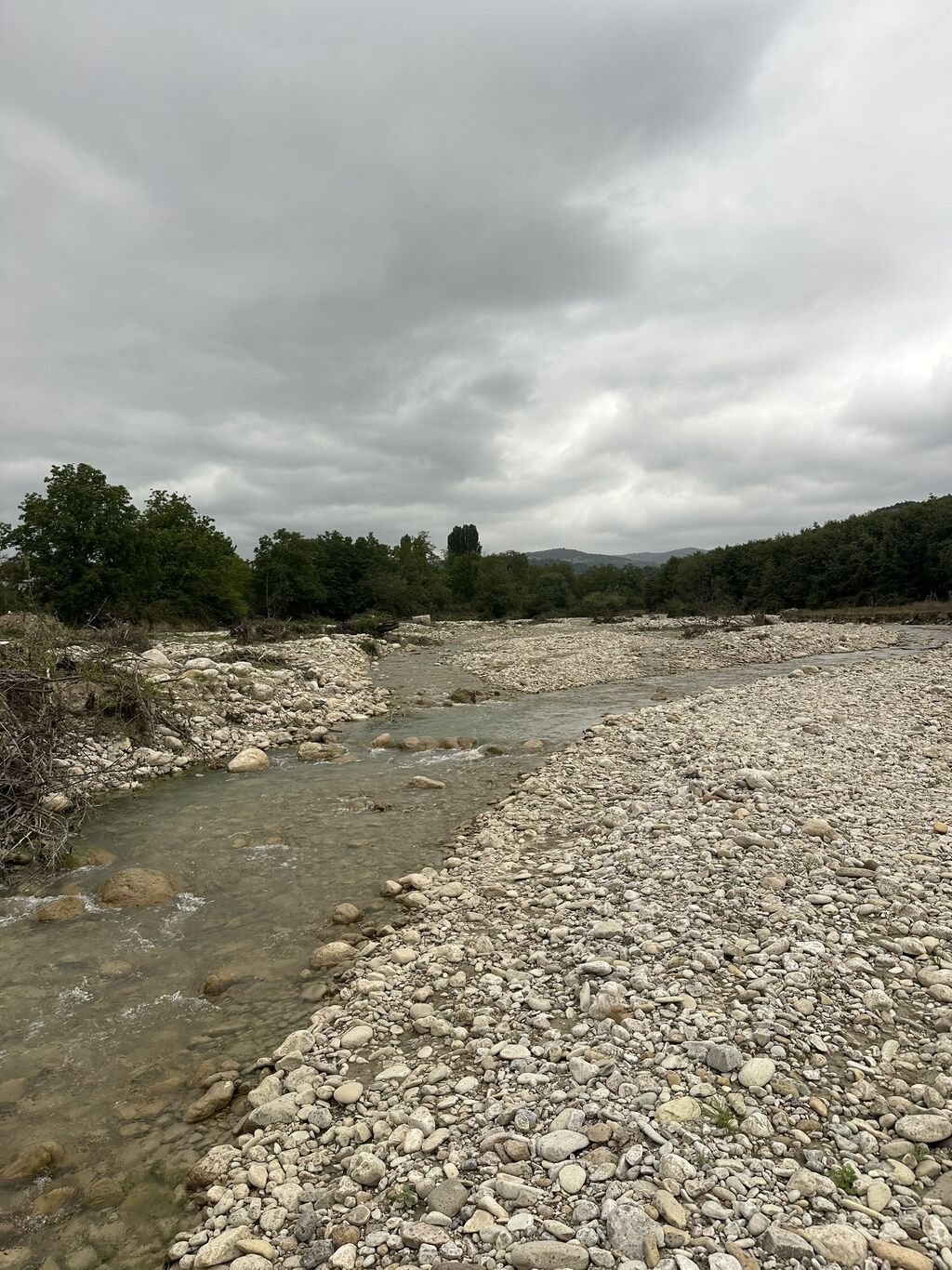 28 sot, Biznes üçün, Mülkiyyətçi, Kupça (Çıxarış)