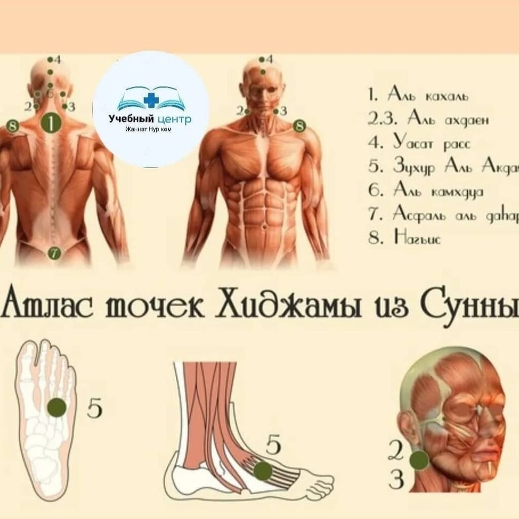 Хиджама и диета быстро