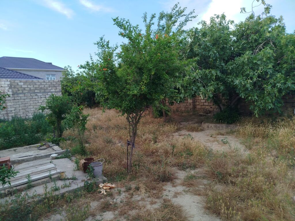4 sot, Tikinti, Mülkiyyətçi, Kupça (Çıxarış)