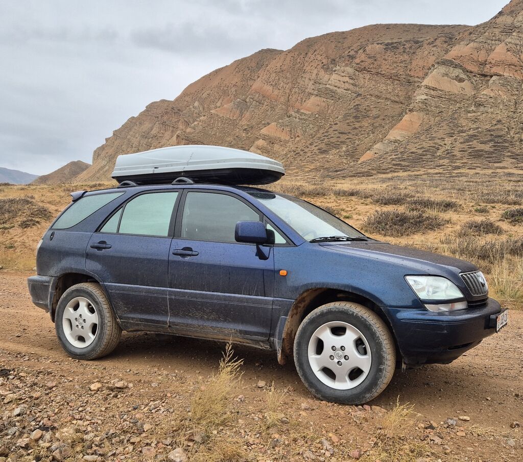 Lexus RX: 2001 г., Автомат, Бензин, Кроссовер: фото 2