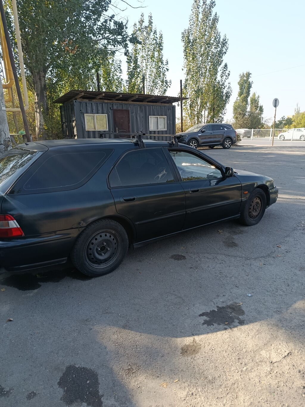 Honda Accord: 1994 г., Универсал: фото 4