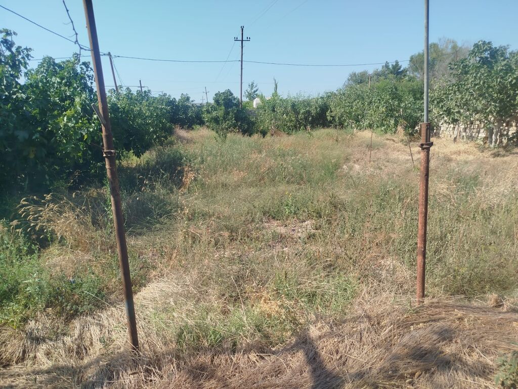7 sot, Tikinti, Mülkiyyətçi, Bələdiyyə, Müqavilə