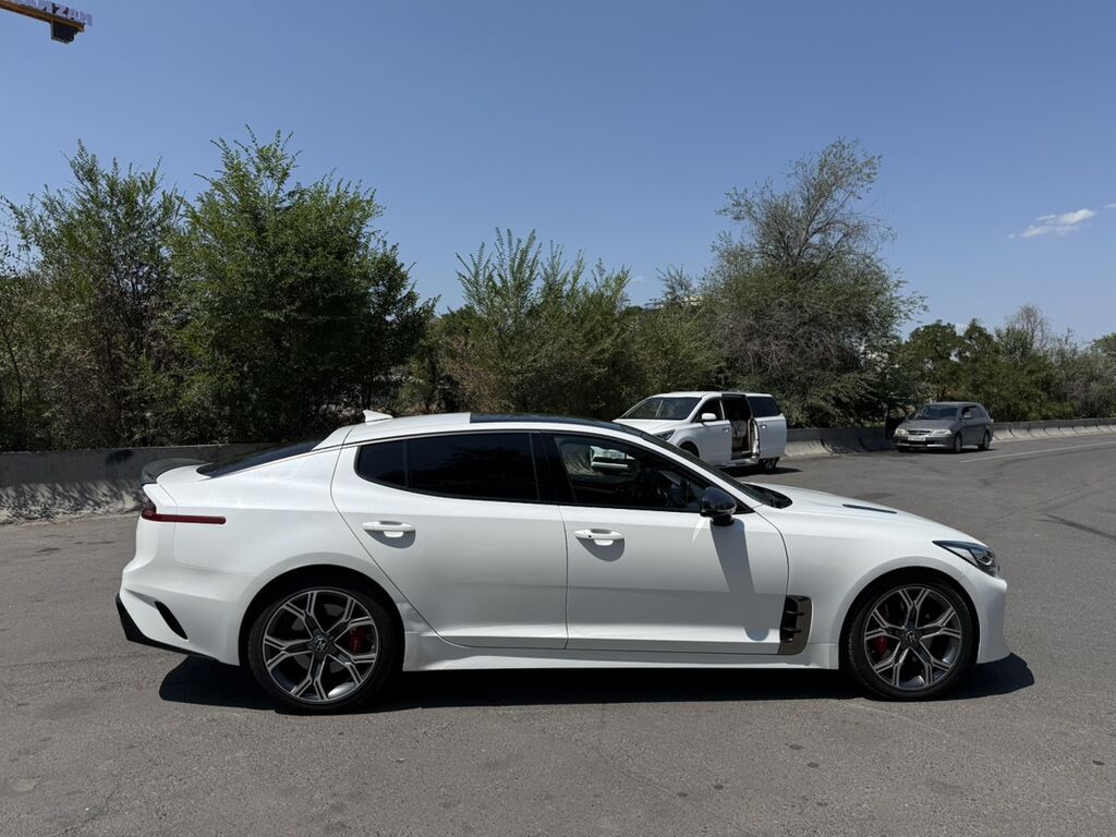 Kia Stinger: 2019 г., 2 л, Автомат, Бензин, Фастбек: фото 6