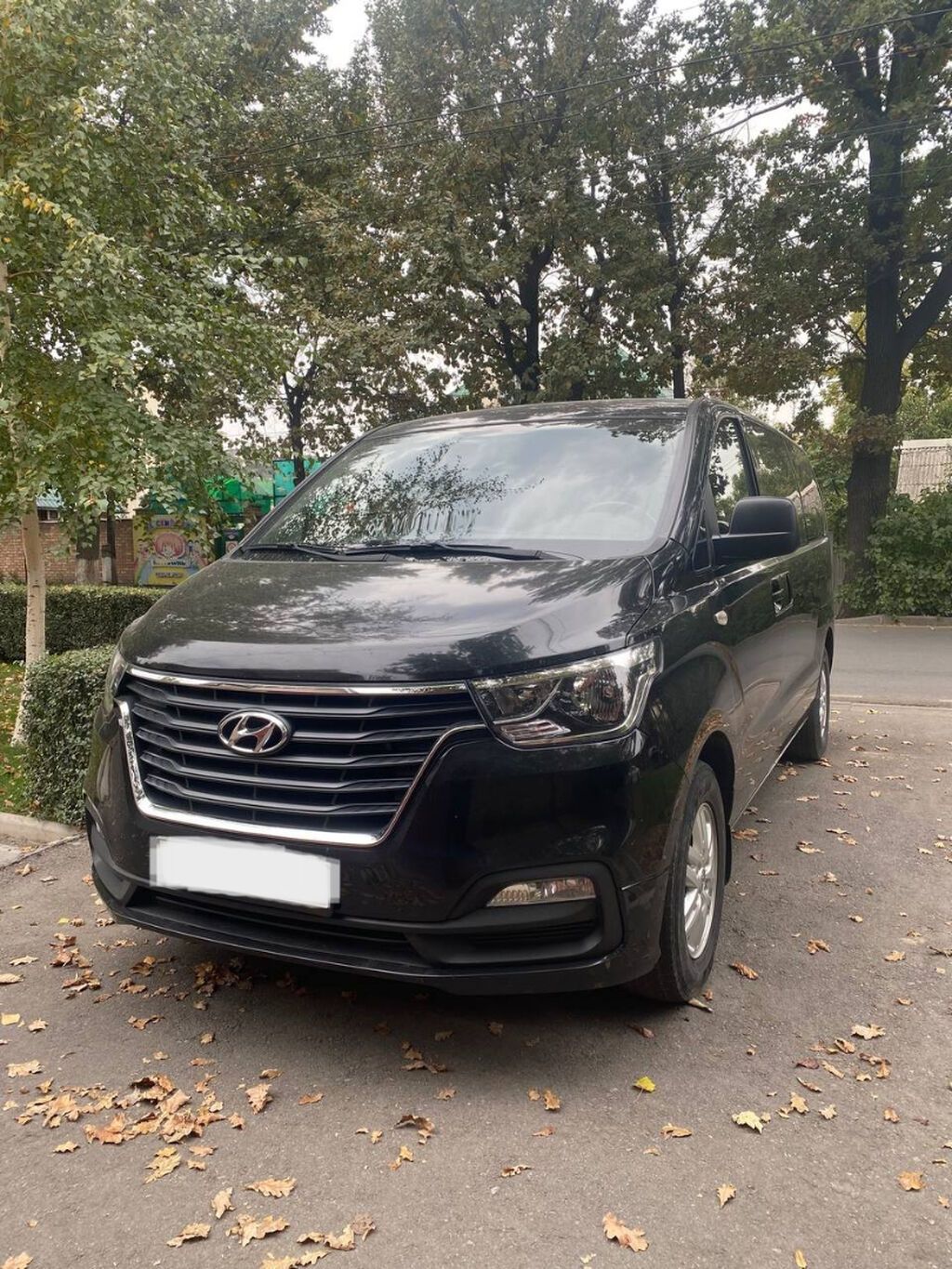 Hyundai Grand Starex: 2018 г., 2.5 л, Автомат, Дизель, Фургон: фото 2