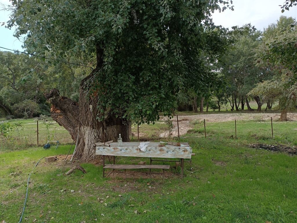 200 sot, Kənd təsərrüfatı, Mülkiyyətçi, Kupça (Çıxarış)