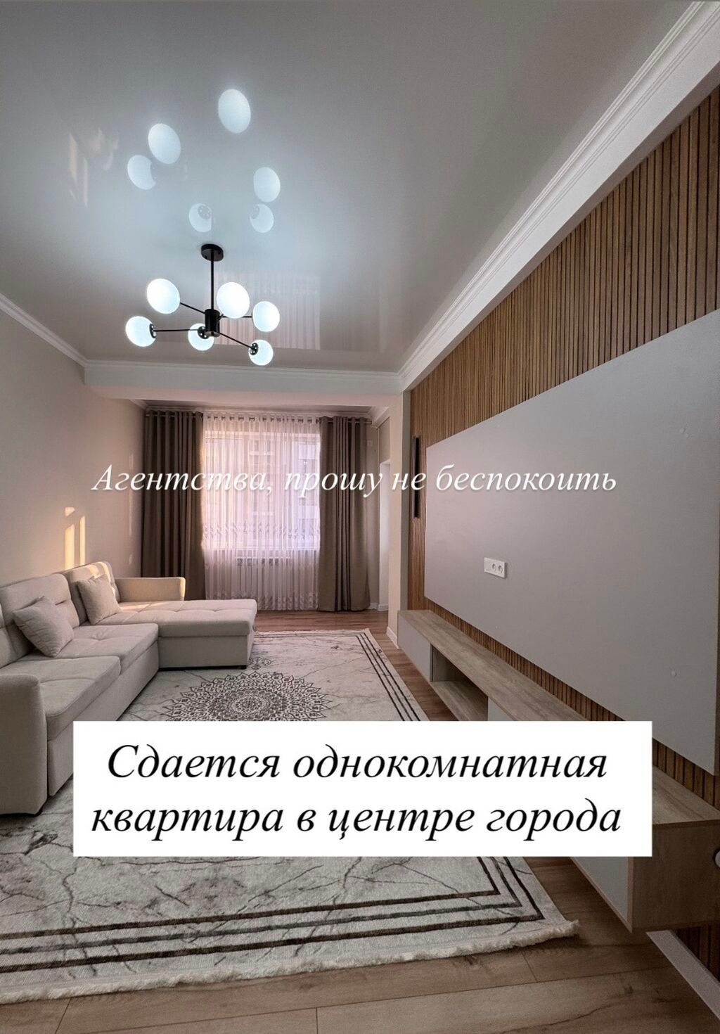 Сдается однокомнатная квартира в центре города НА ДОЛГИЙ СРОК. Без: фото 1