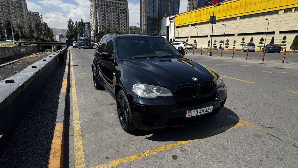 BMW X5: 2010 г., 3 л, Автомат, Дизель, Кроссовер: фото 8