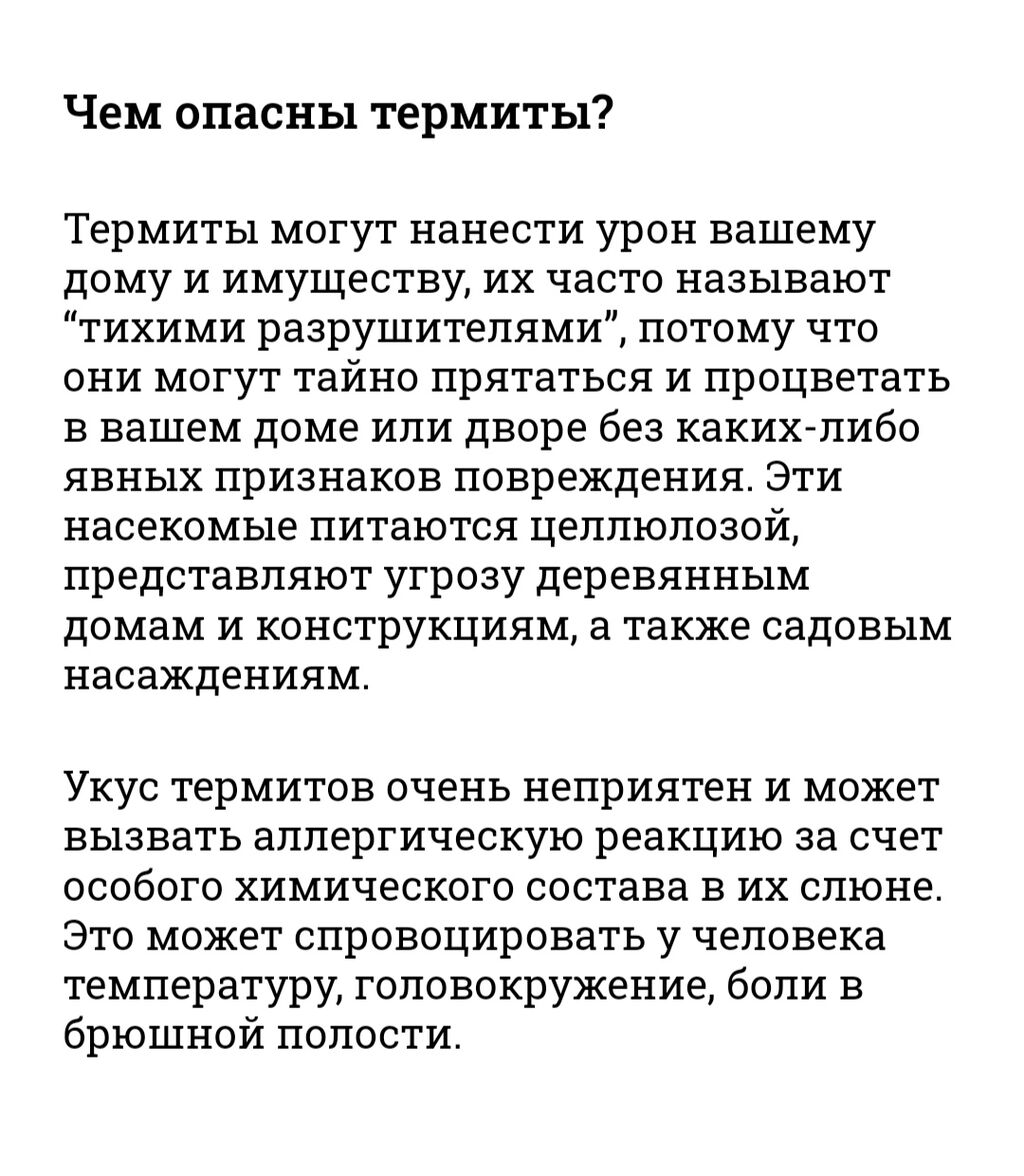 Обработка от термитов Уничтожение термитов Производится: Договорная ᐈ  Дезинфекция, дезинсекция | Бишкек | 106114677 ➤ lalafo.kg