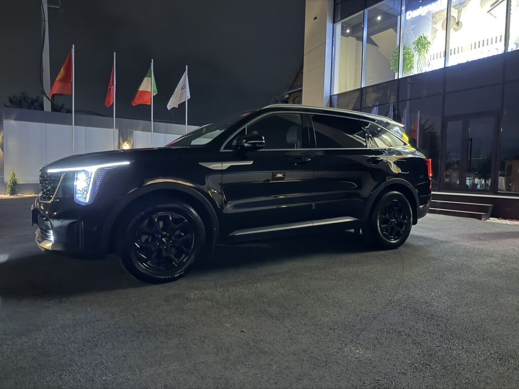 Kia Sorento: 2024 г., 1.6 л, Автомат, Гибрид, Кроссовер: фото 6