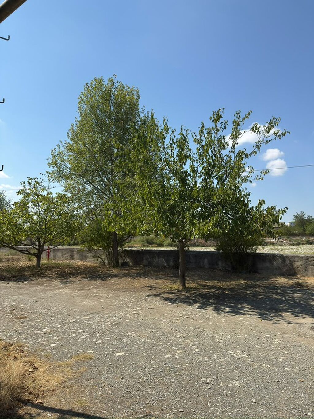 3 otaqlı, 72 kv. m