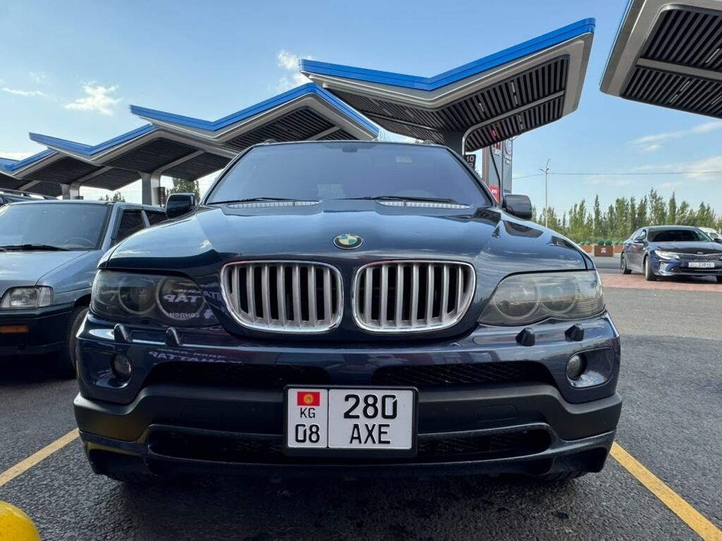 BMW X5: 2004 г., 4.4 л, Автомат, Бензин, Кроссовер: фото 4